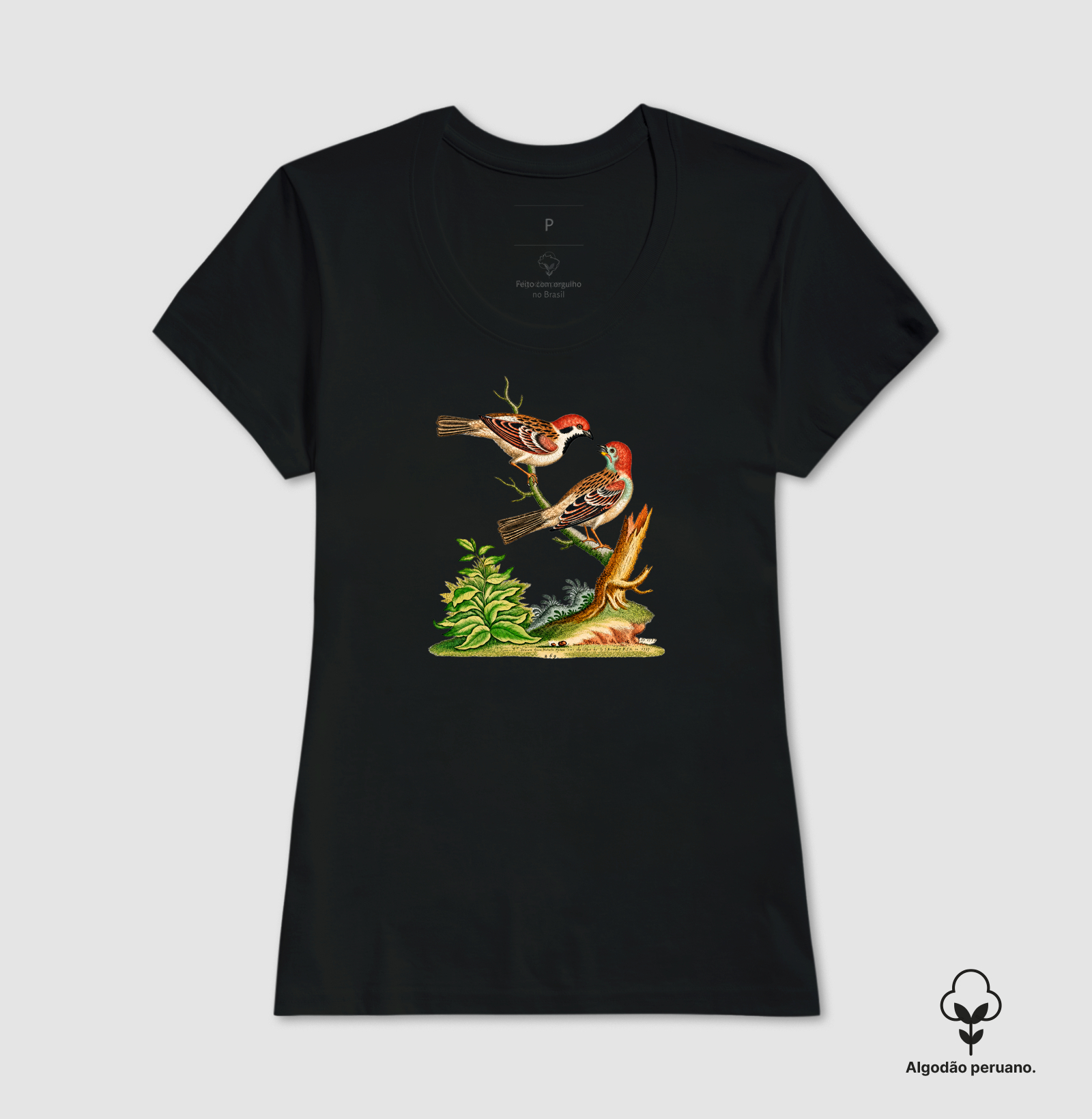 Camiseta Pássaros — História Natural do Século XVIII - Imagem 4