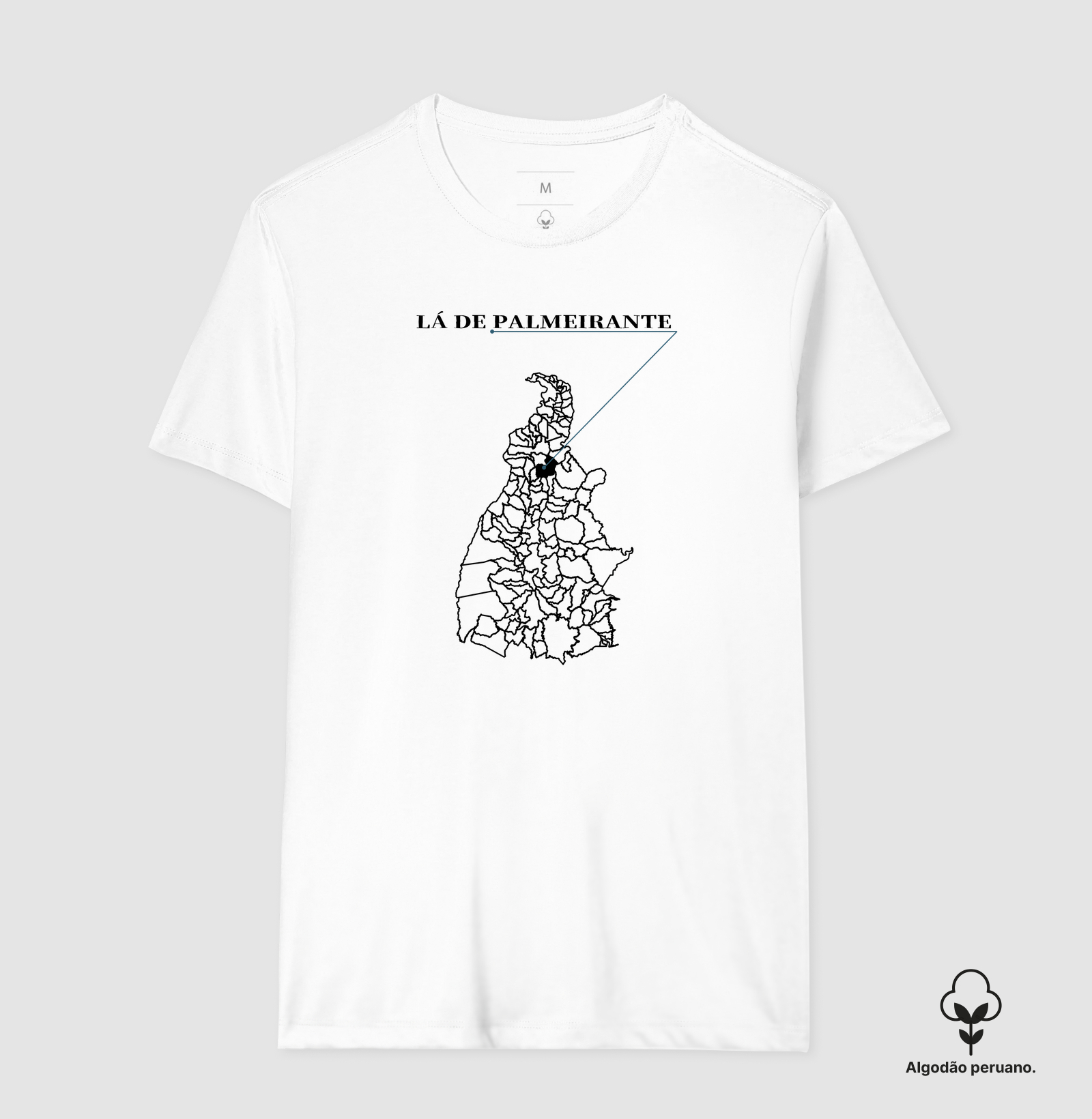 Palmeirante | Origem TO - Imagem 5