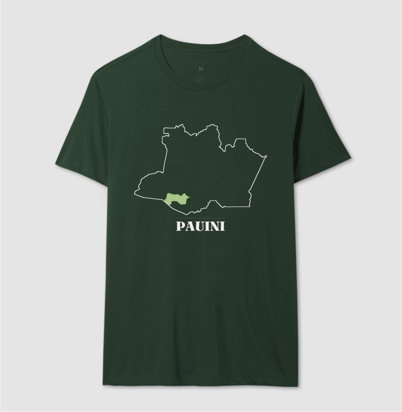 Pauini | Traço AM - Imagem 12