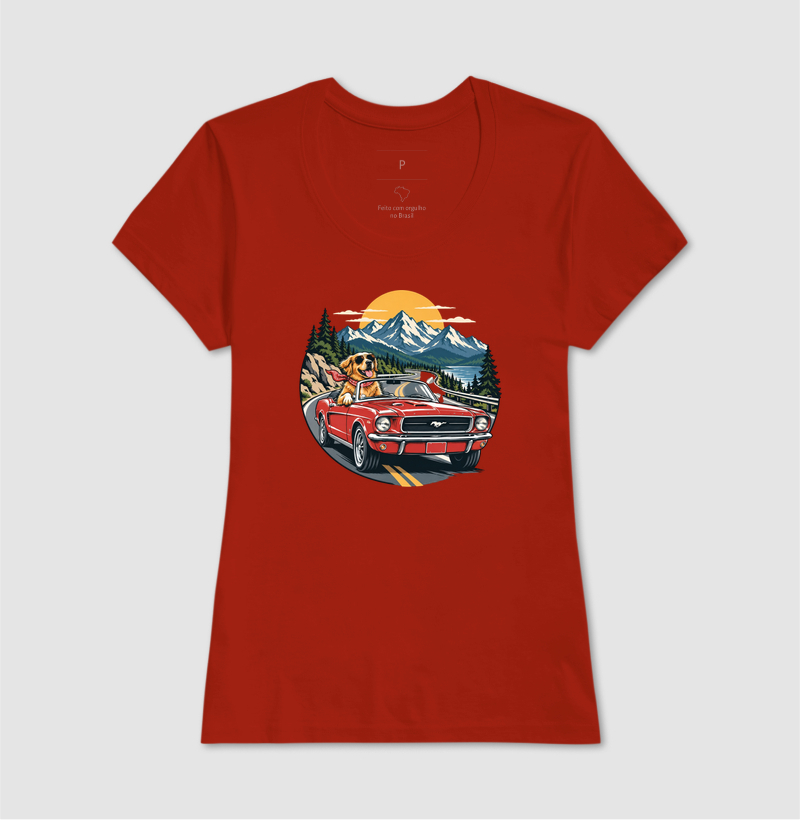 Road Trip - Imagem 11