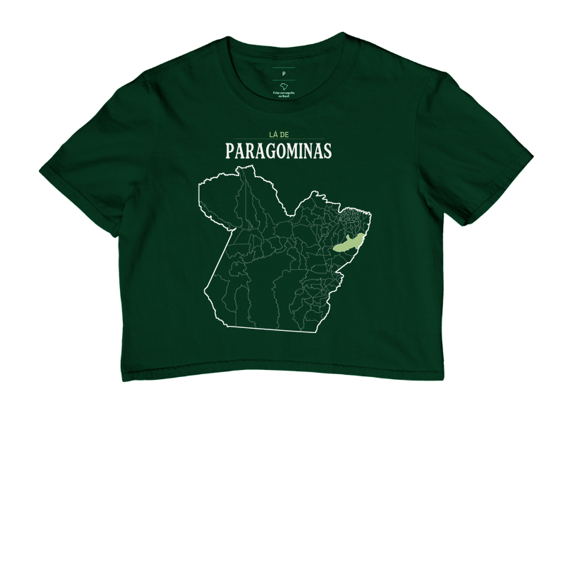 Paragominas | Território PA - Imagem 5