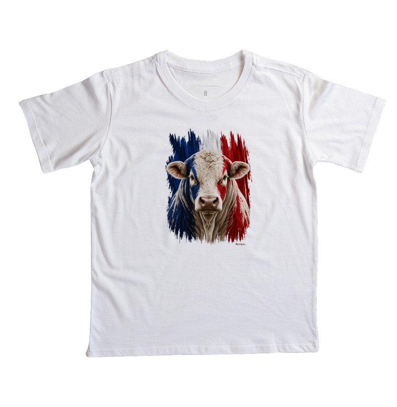 Charolês da França - Imagem 3