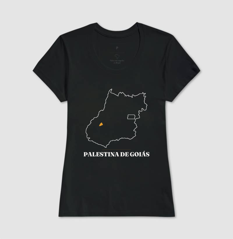 Palestina de Goiás | Traço GO - Imagem 3