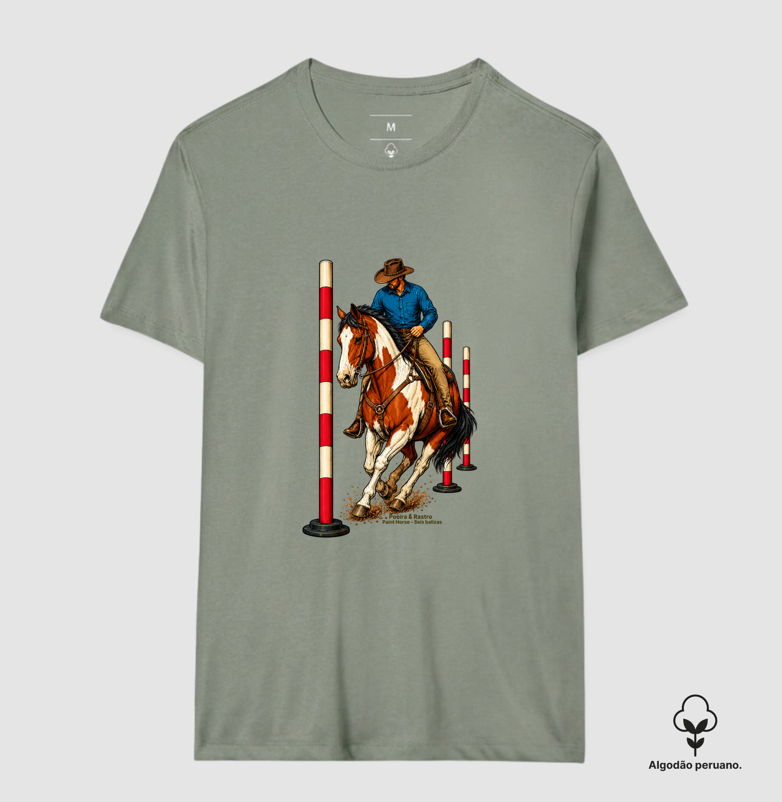 Paint Horse - Seis Balizas. - Imagem 5