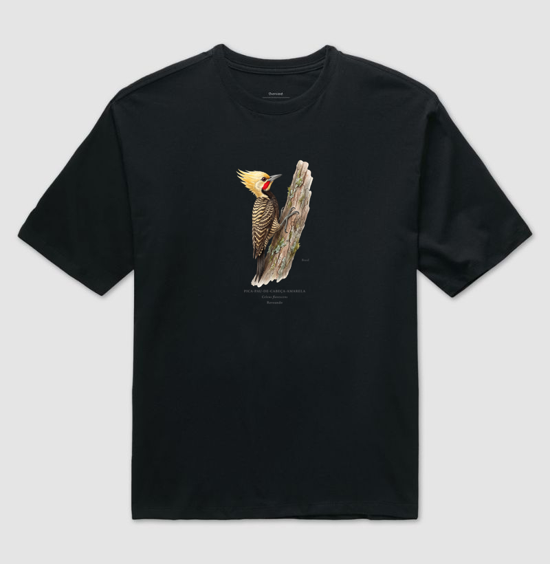 Naturalistas - Pica-pau-de-cabeça-amarela - Oversized - Imagem 4