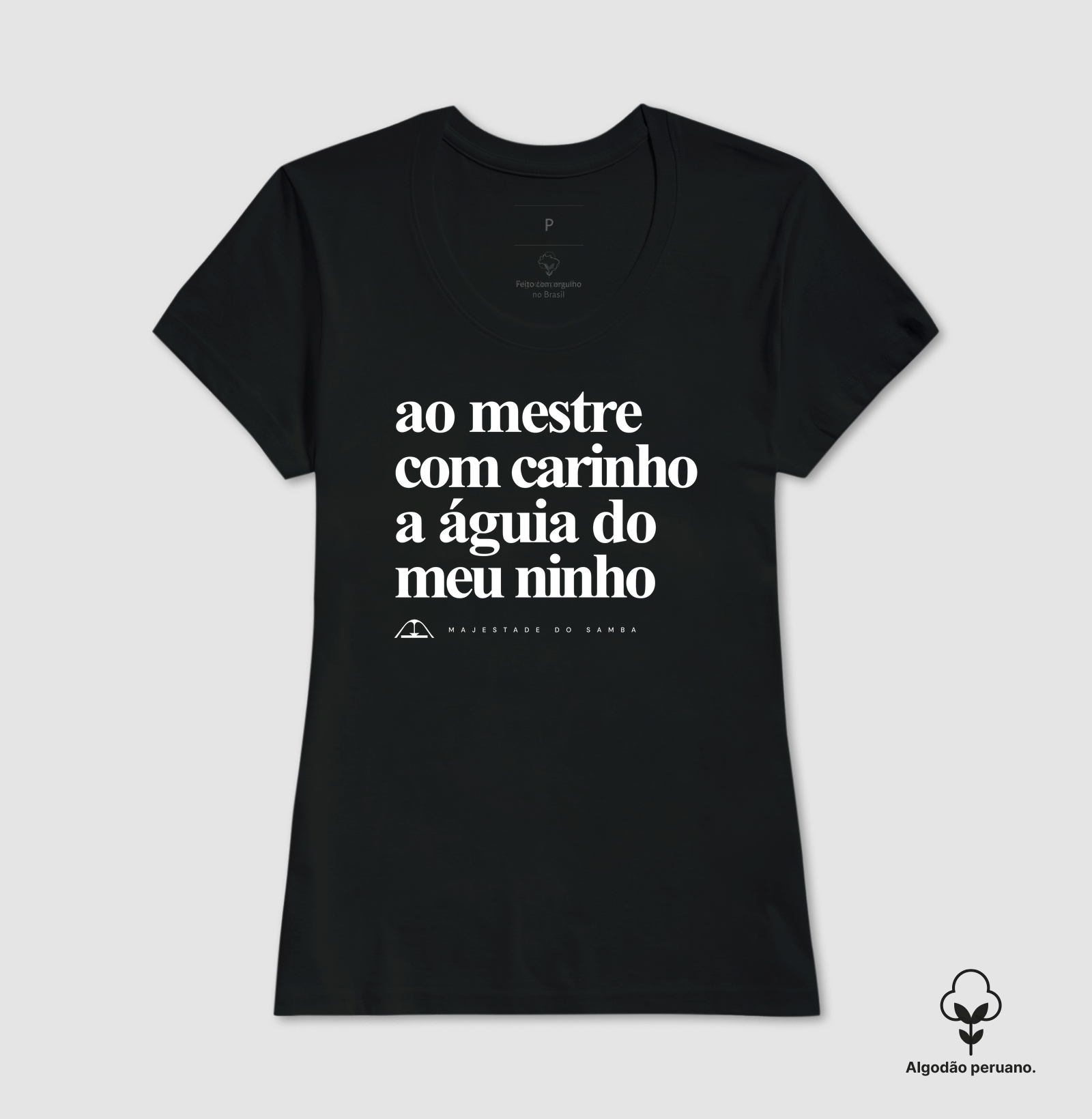Ao Mestre com carinho, a águia do meu ninho - Imagem 3