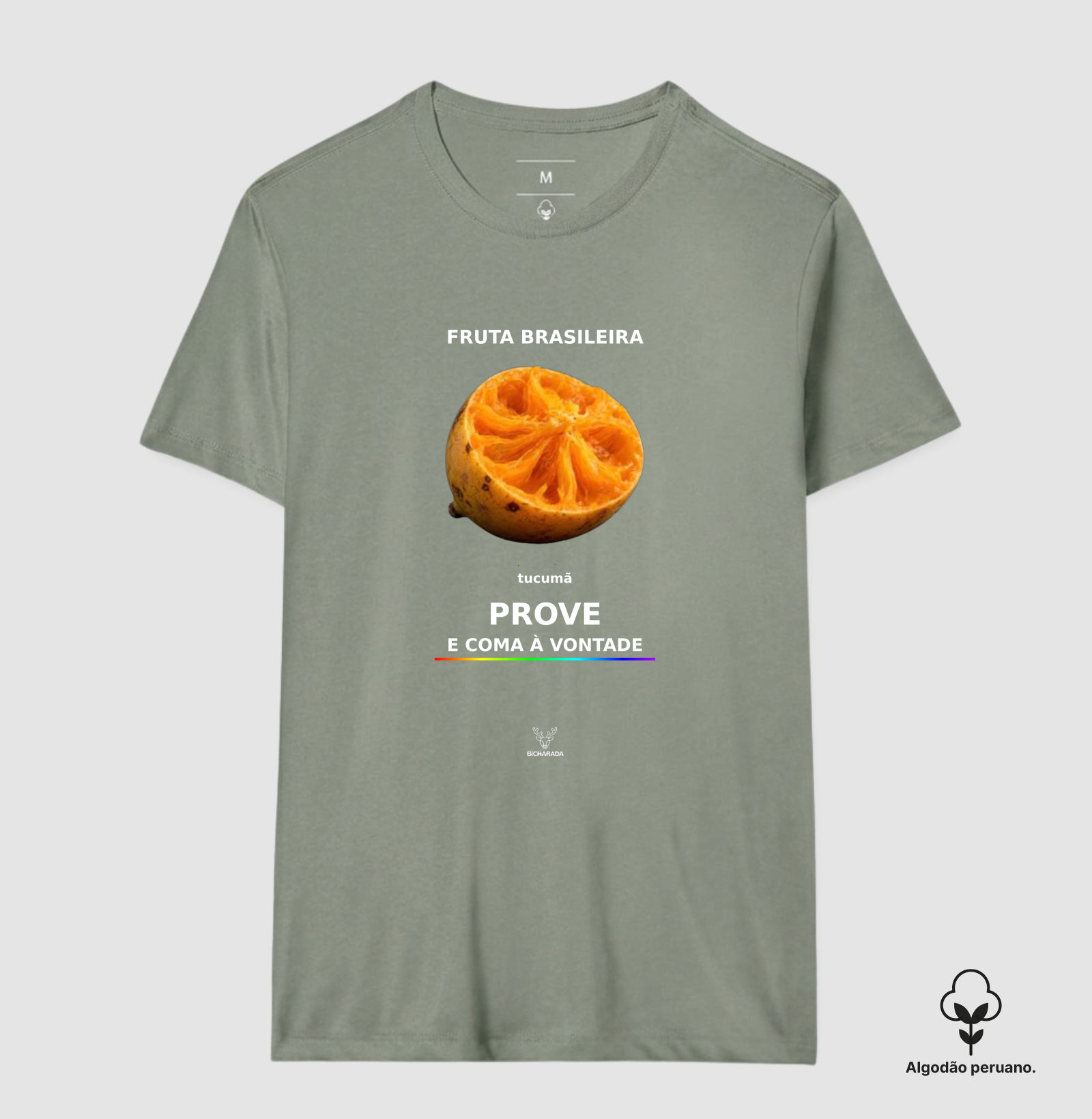 Frutas do Brasil - Tucumã  - Imagem 9