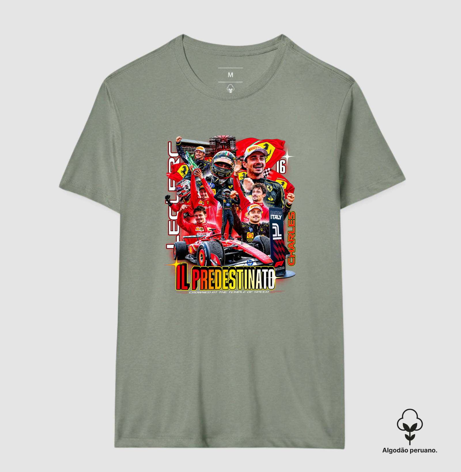 Charles Leclerc edição IL PREDESDINATO (edição limitada) - Imagem 4