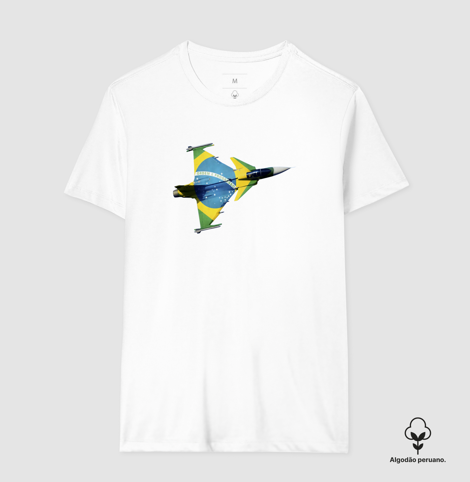 Gripen Brasil - Imagem 2