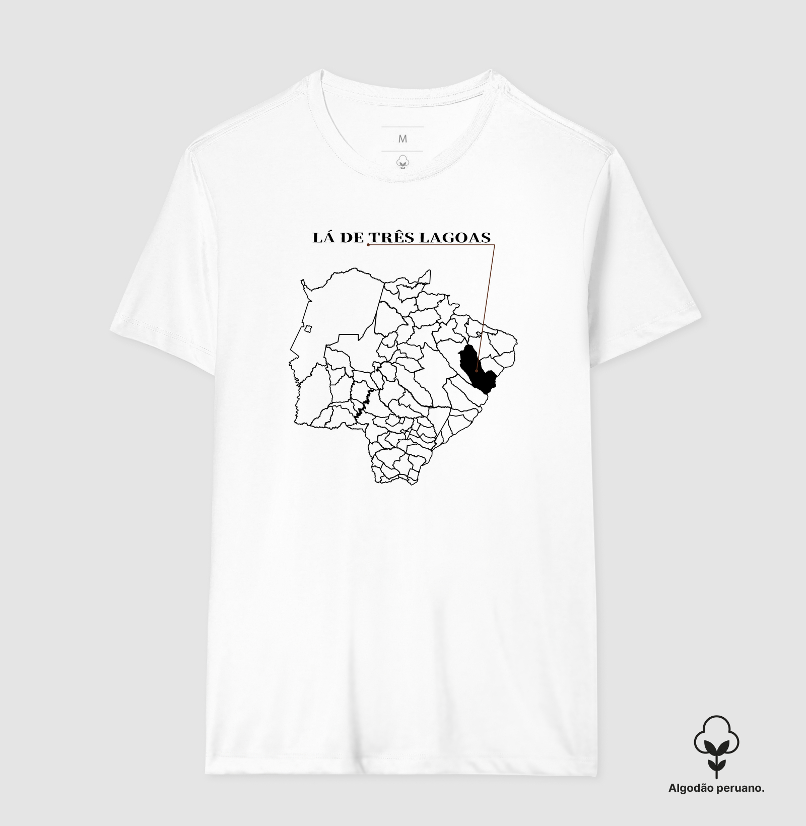 Três Lagoas | Origem MS - Imagem 3