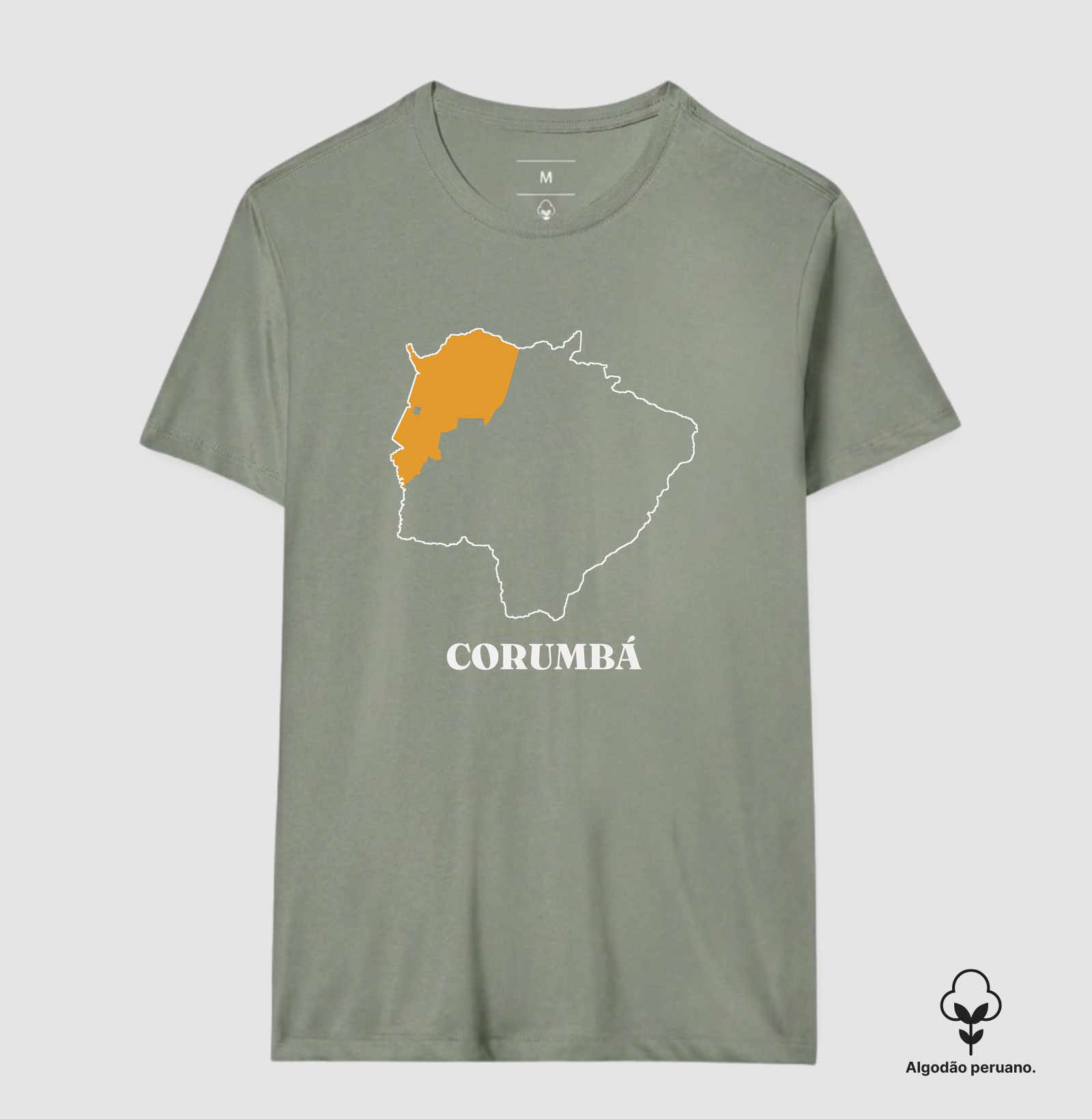 Corumbá | Traço MS - Imagem 3