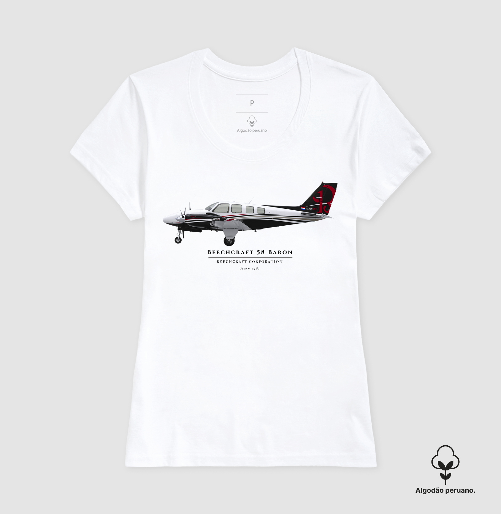 Beechcraft Baron 58 - Profile - Imagem 7