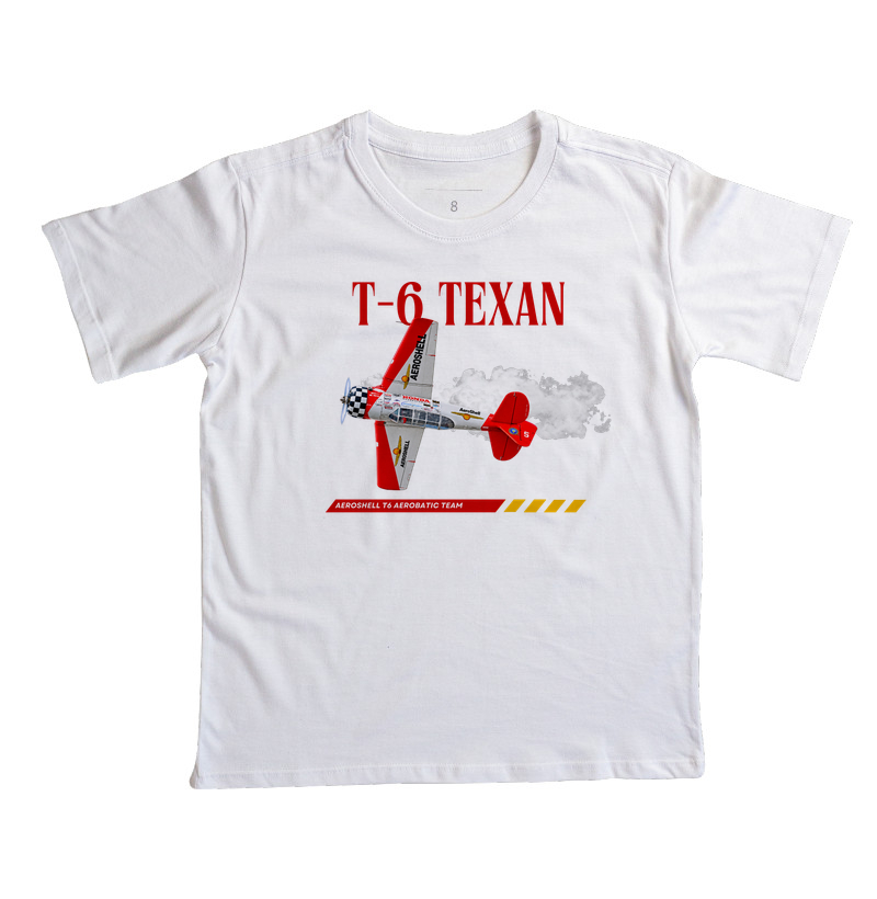 T-6 AeroShell - Imagem 5