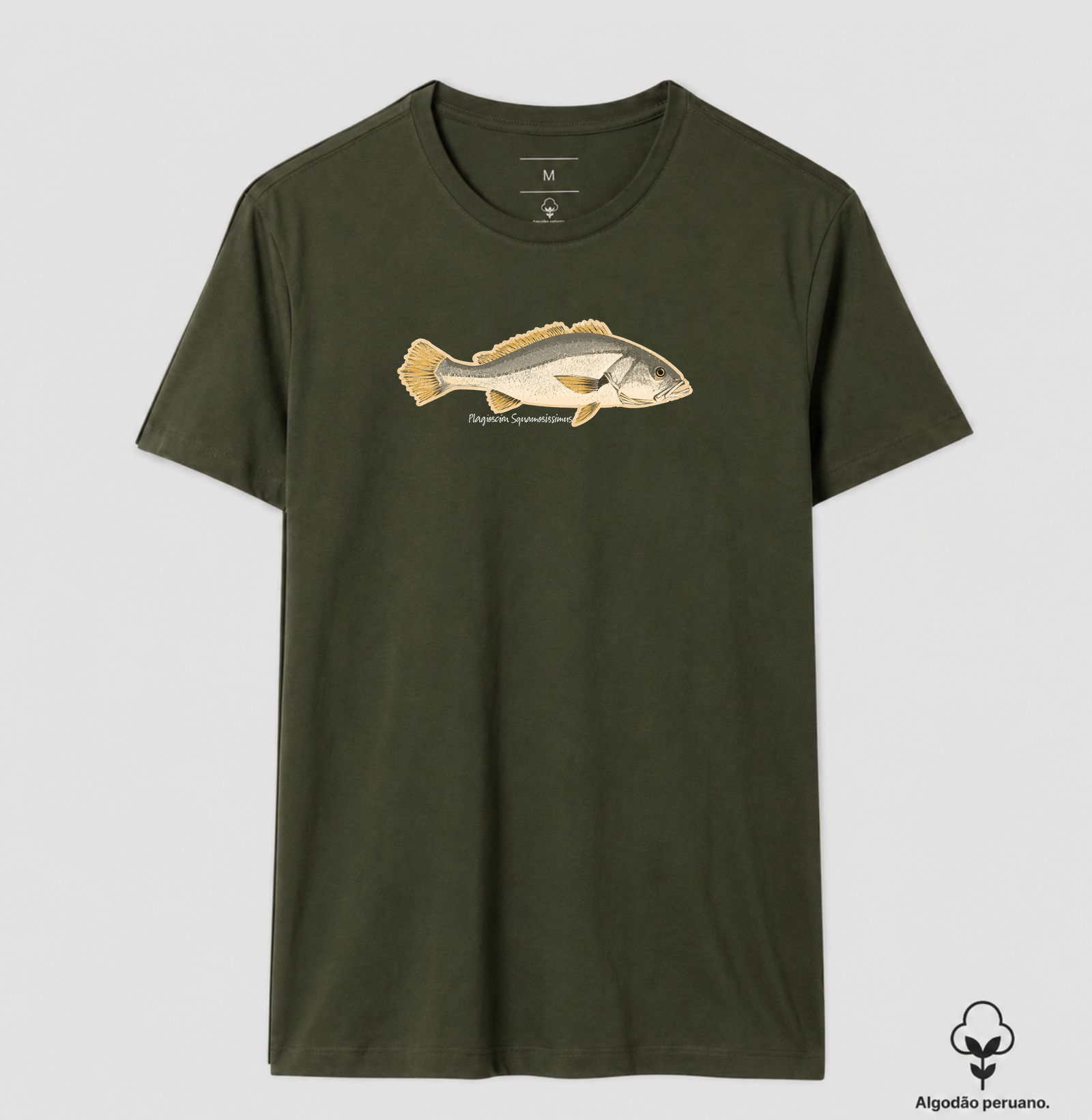 🎣 Corvina 🐟 - Imagem 9
