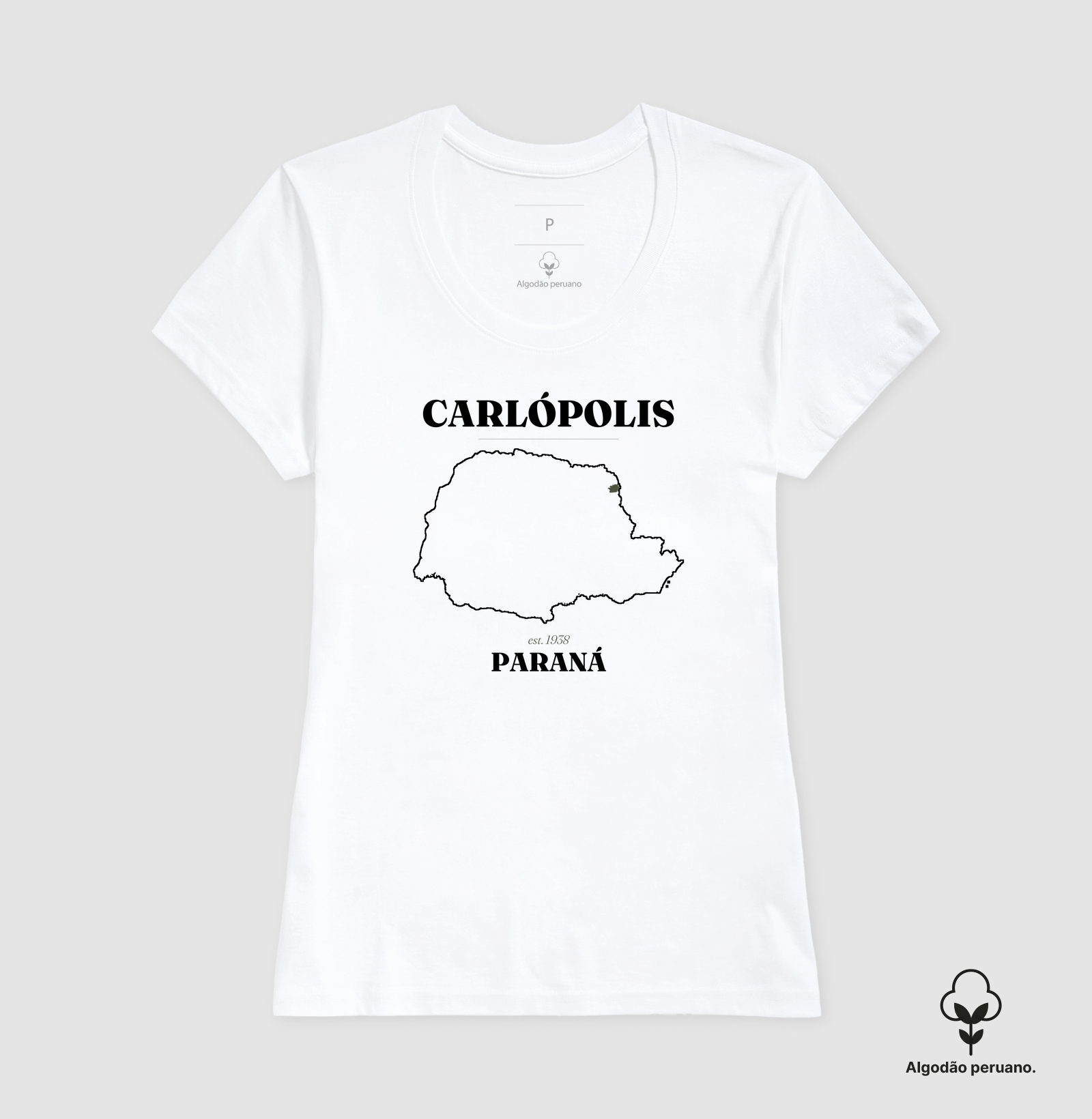 Camisa 6