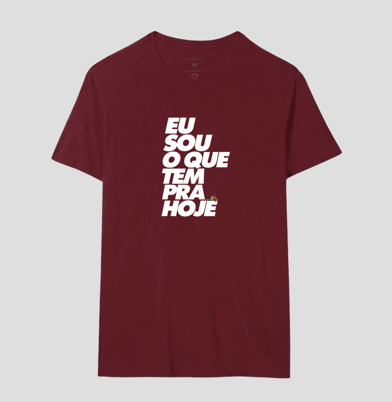 Camiseta Eu sou o que tem pra hoje. ( O bagaceira) - Imagem 9