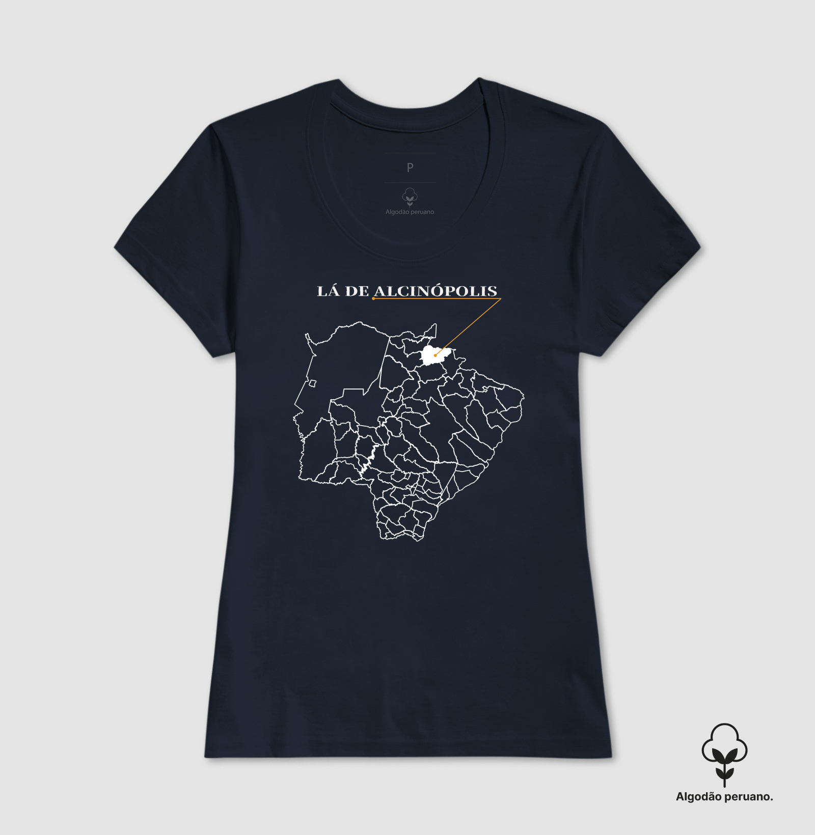 Alcinópolis | Origem MS - Imagem 8