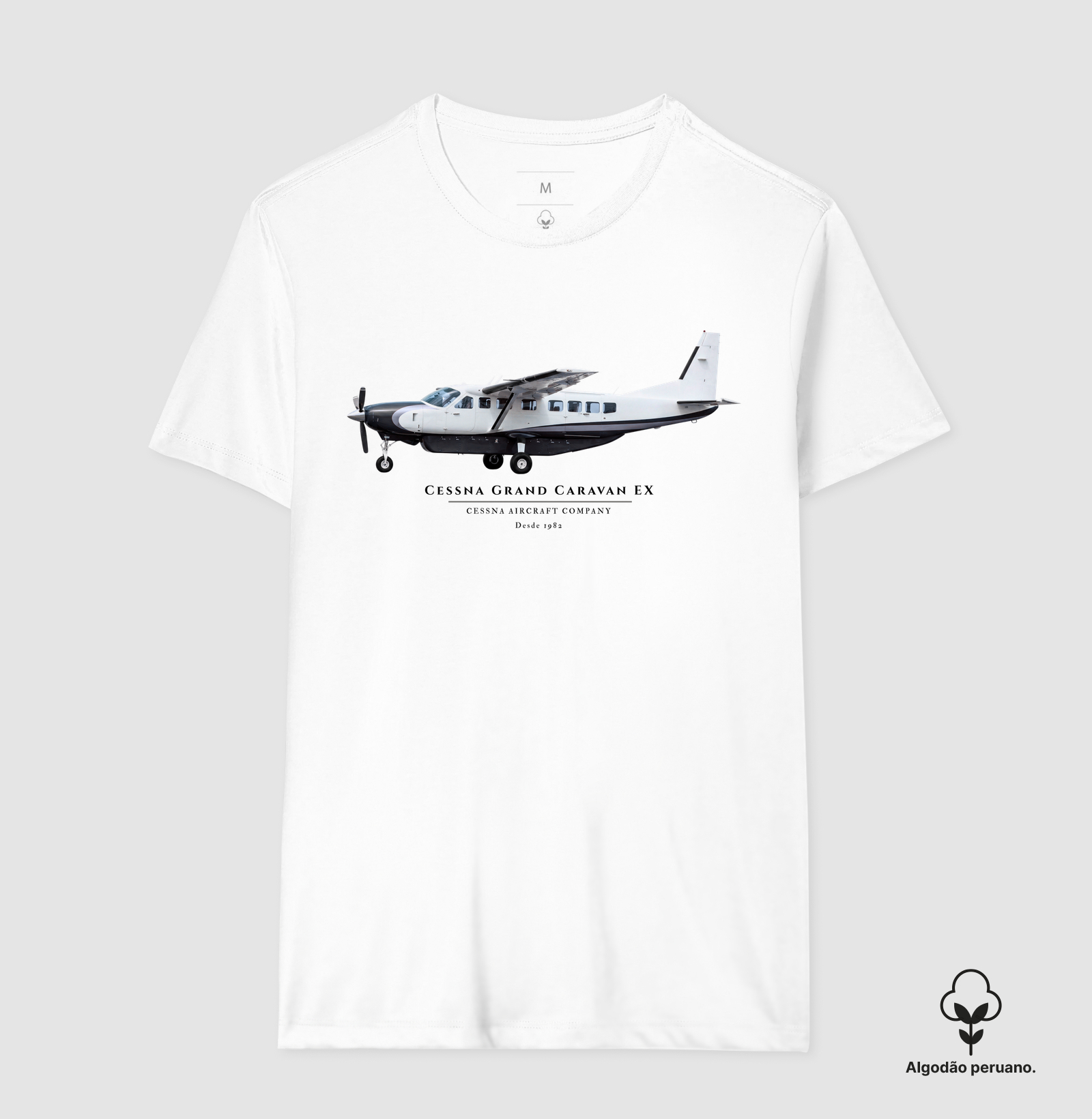 Cessna Grand Caravan EX - Imagem 3