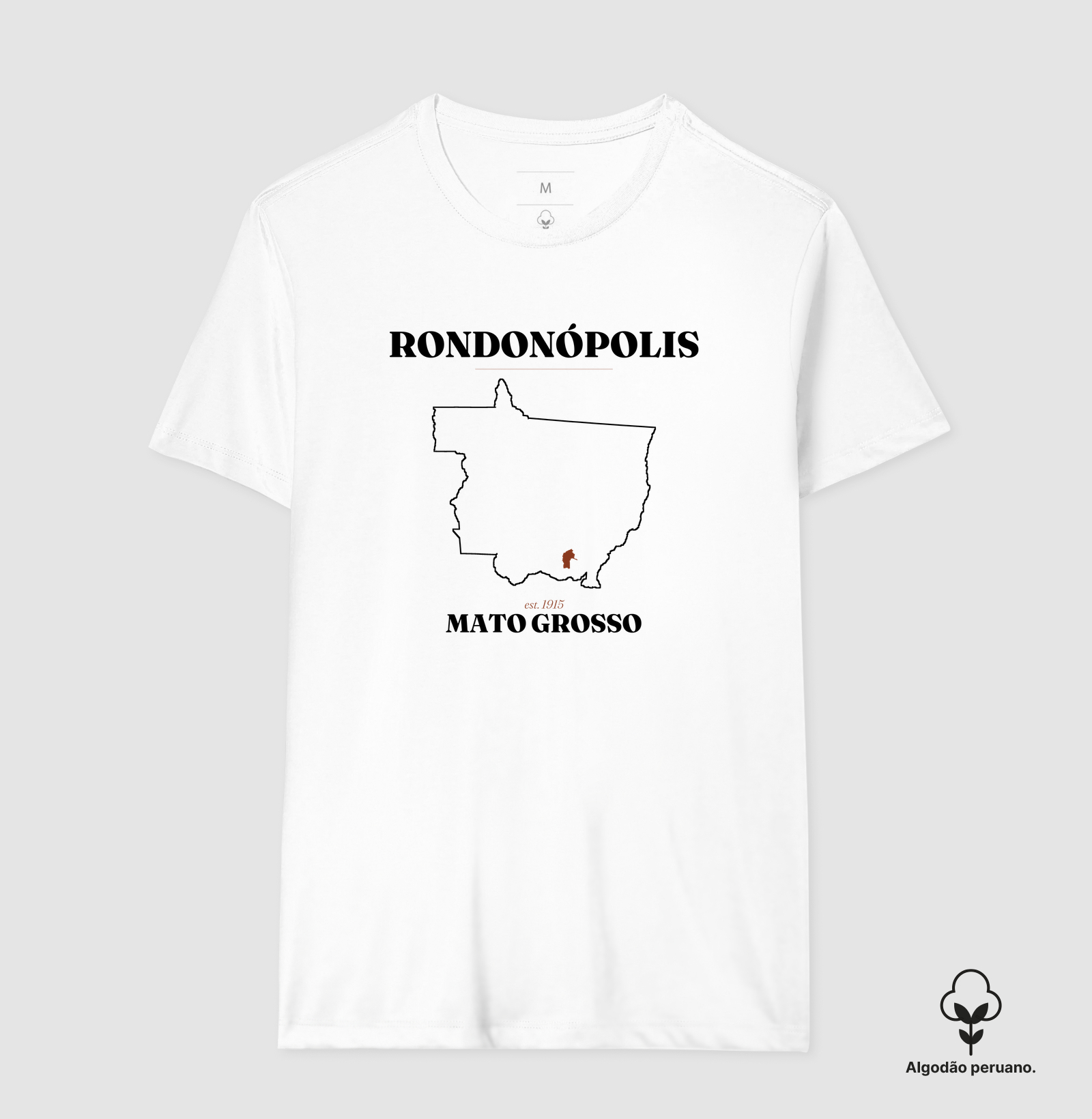 Rondonópolis | Legado MT - Imagem 5