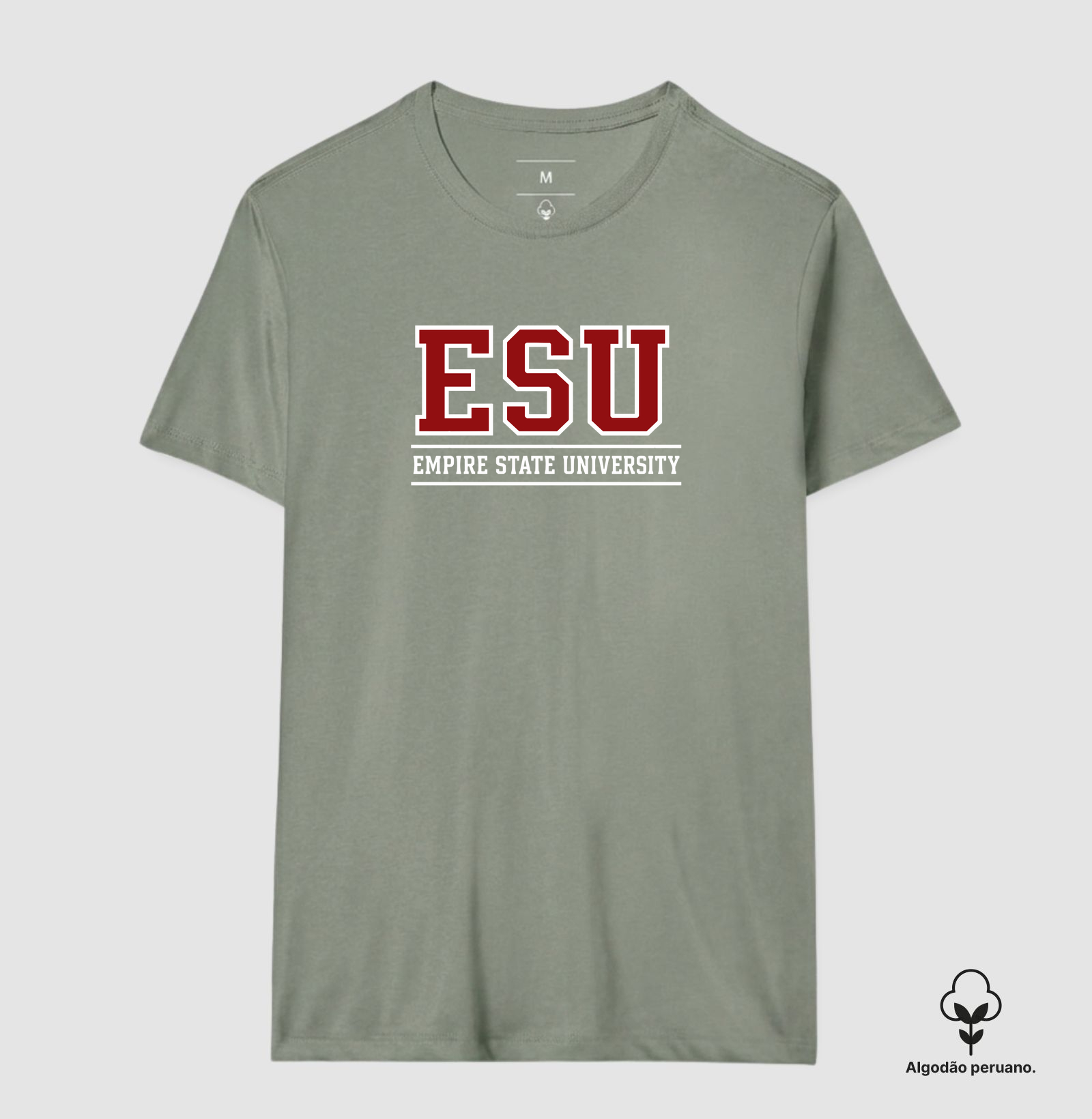 Empire State University - Imagem 7