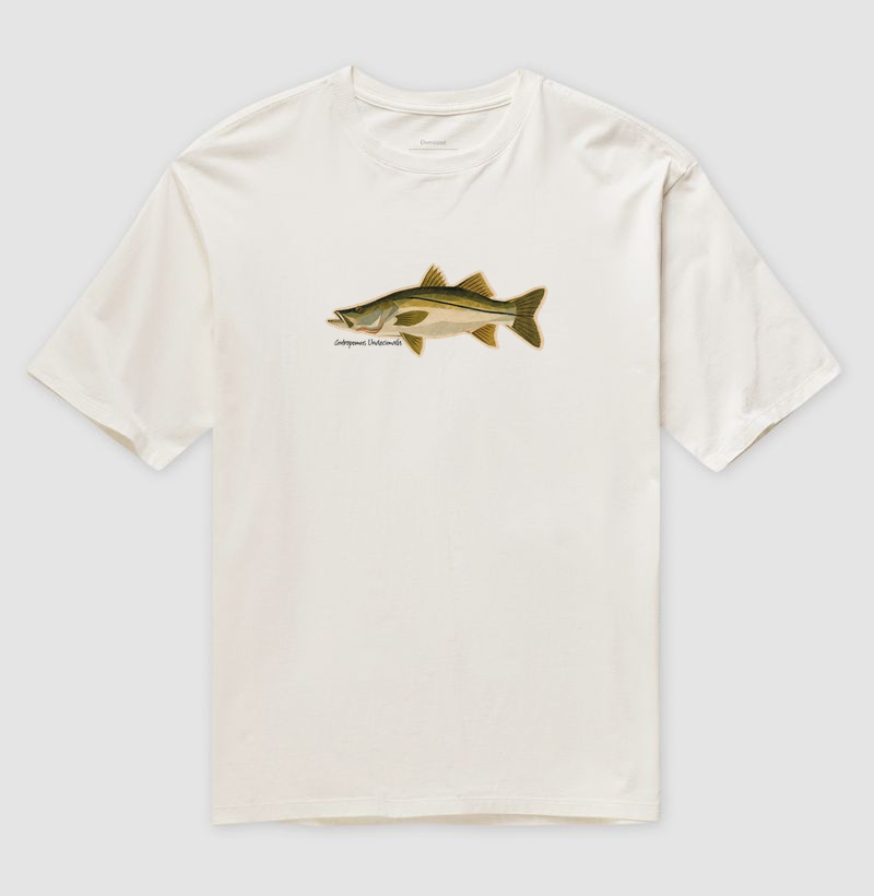 Robalo - Imagem 4