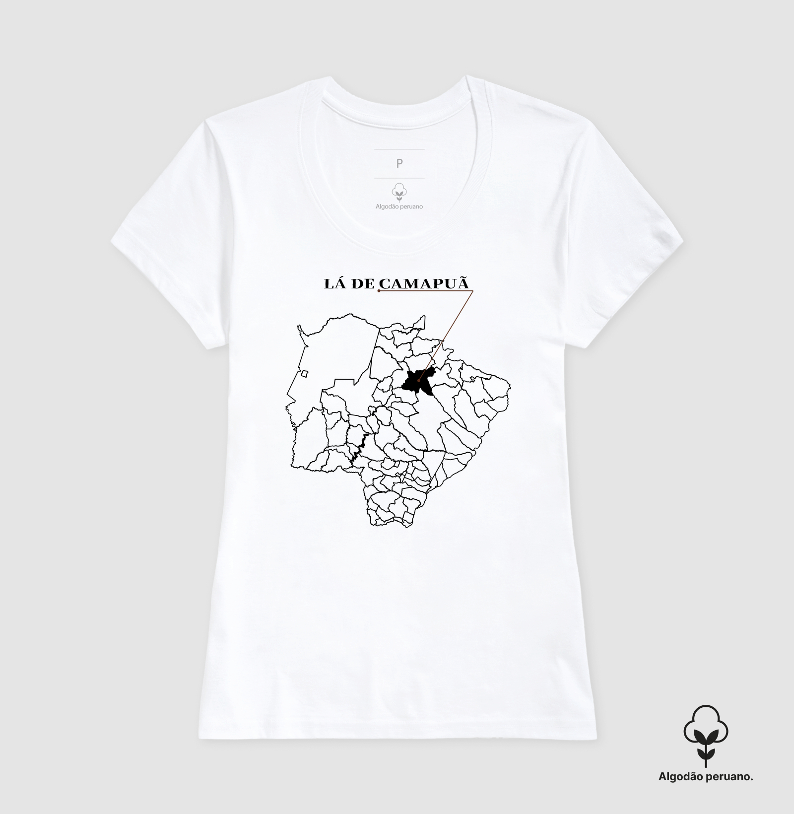 Camapuã | Origem MS - Imagem 7