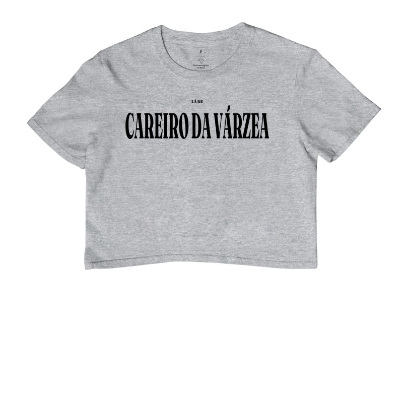 Careiro da Várzea | Tipografia AM - Imagem 6