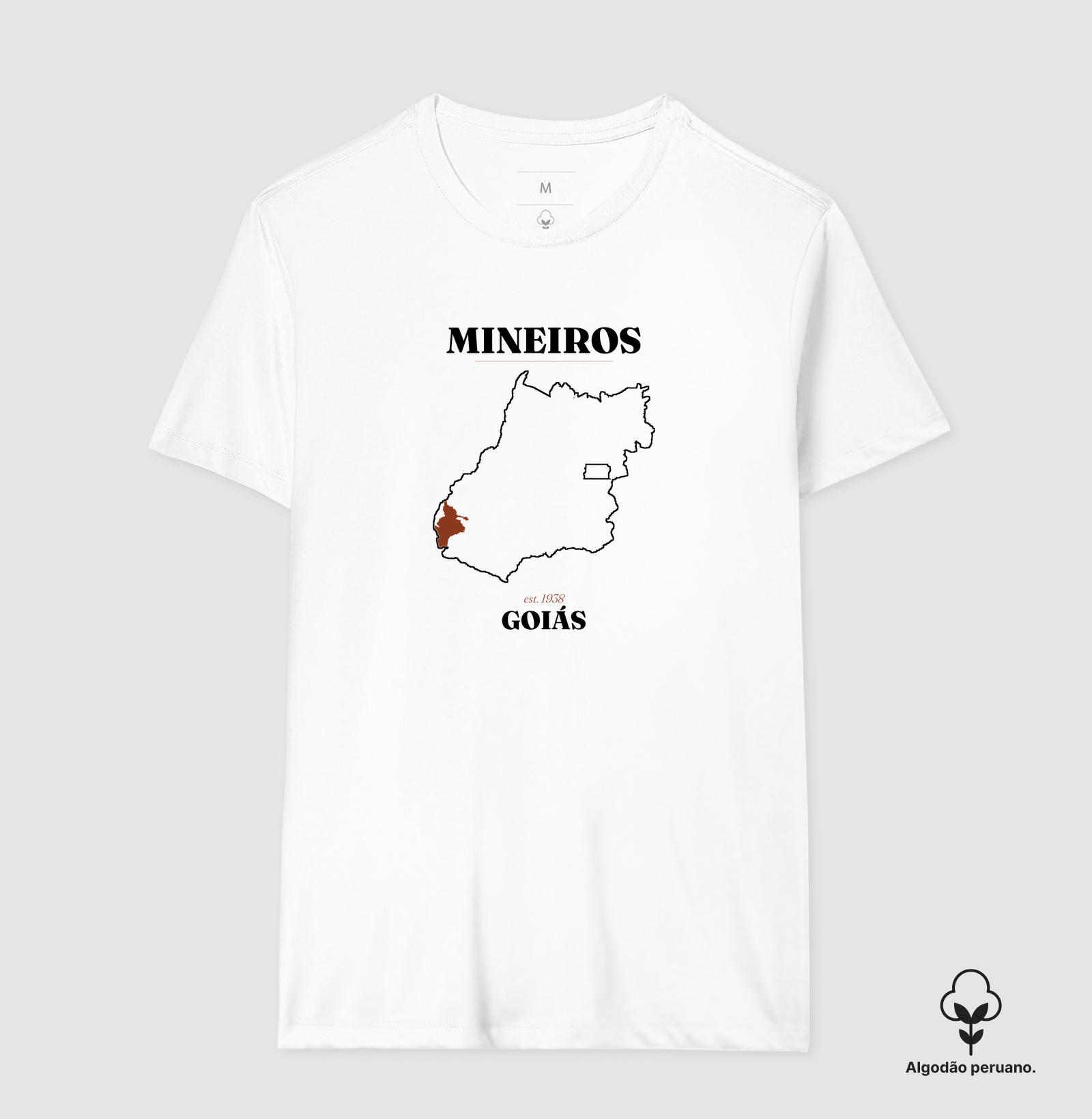 Mineiros | Legado GO - Imagem 8