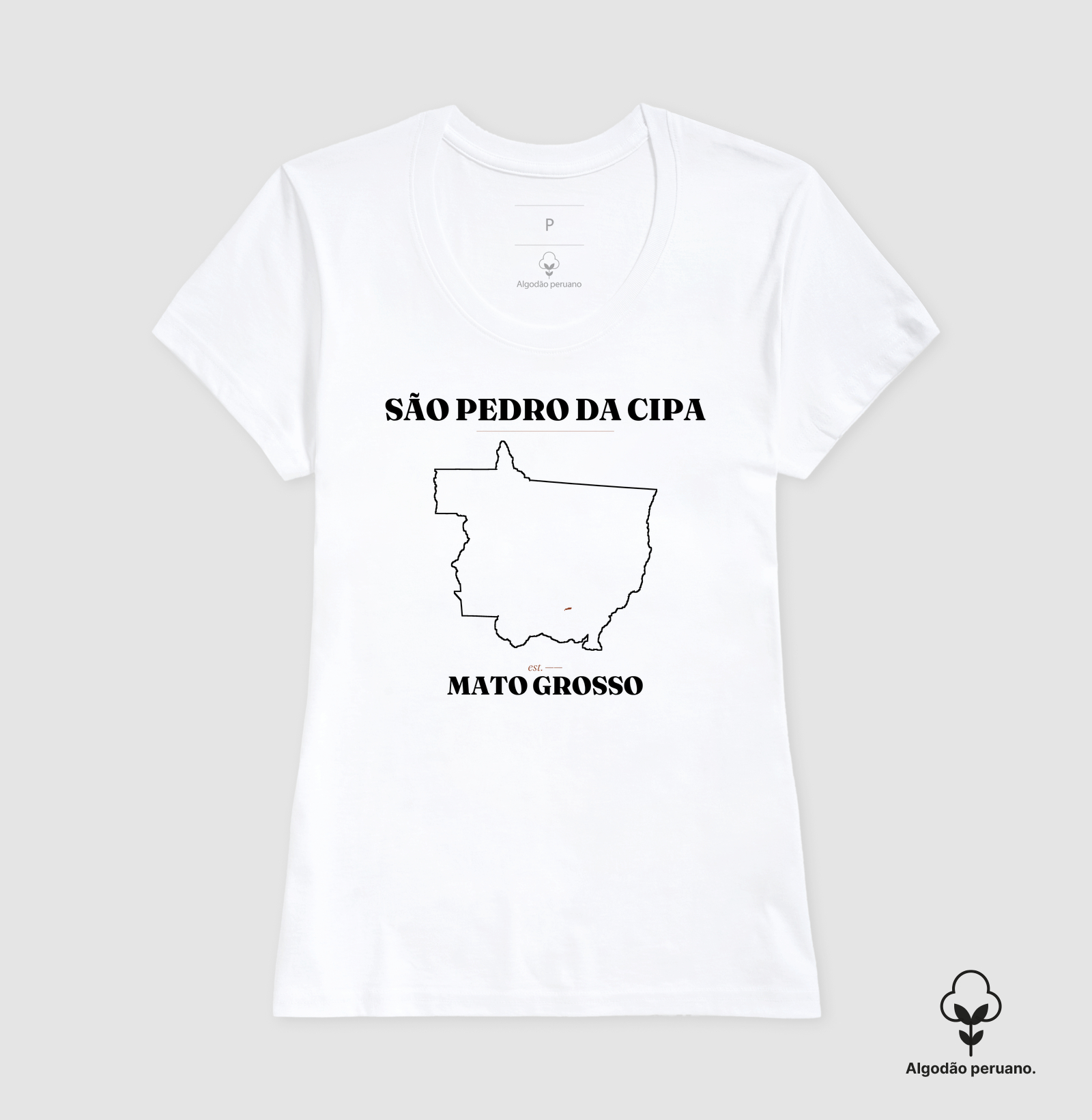 São Pedro da Cipa | Legado MT - Imagem 3