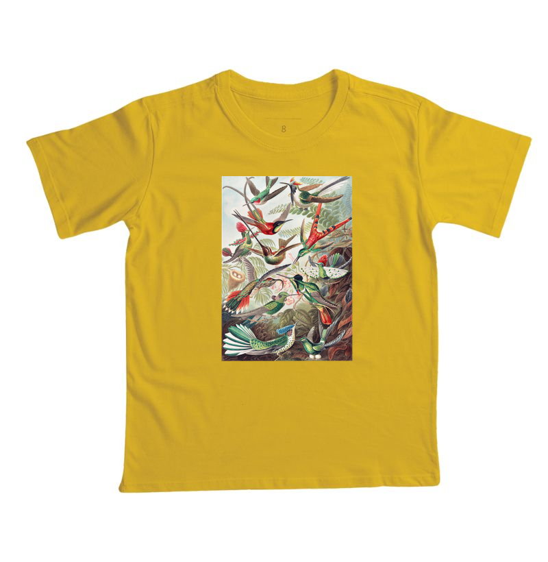 Kolibris - Imagem 2