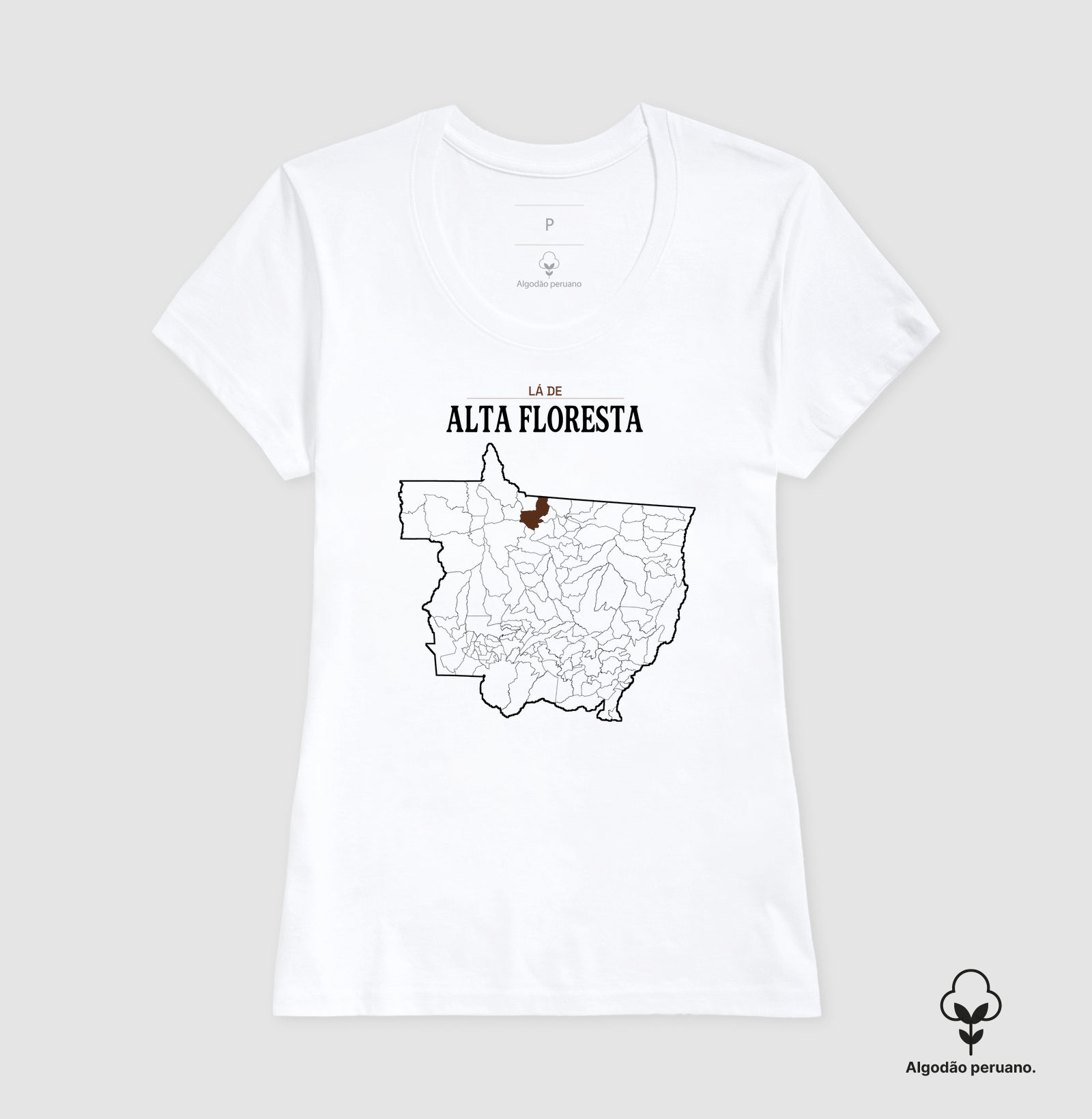 Alta Floresta | Território MT - Imagem 4