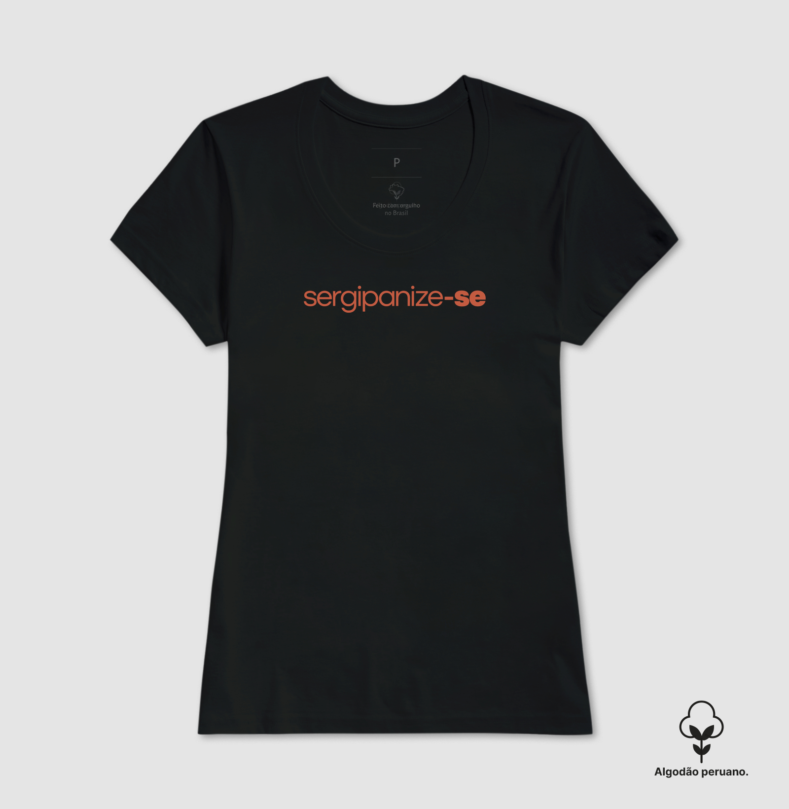 Sergipanize-se - Imagem 4