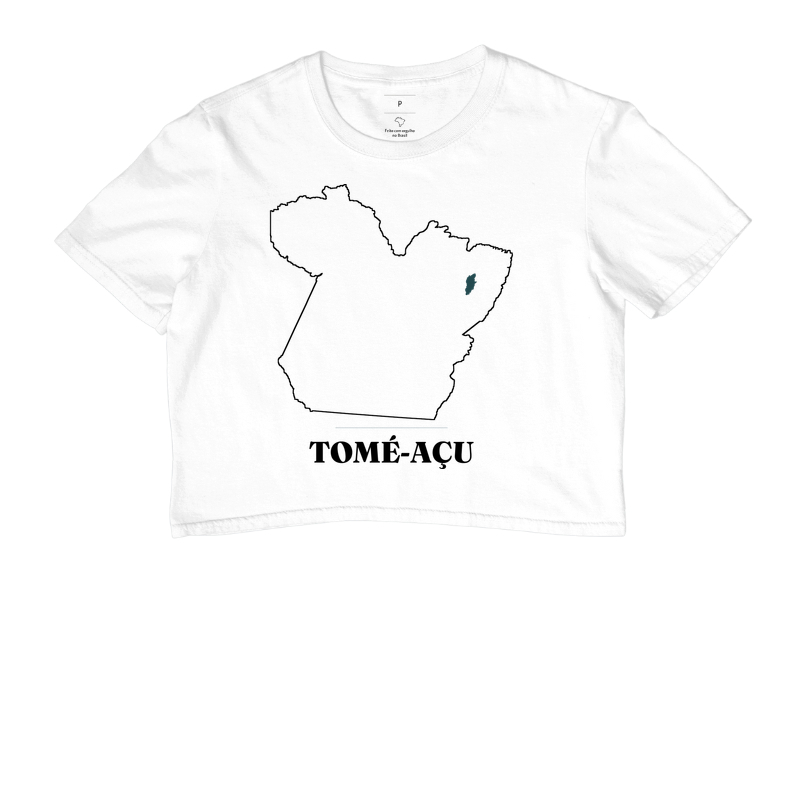 Tomé-Açu | Traço PA - Imagem 3