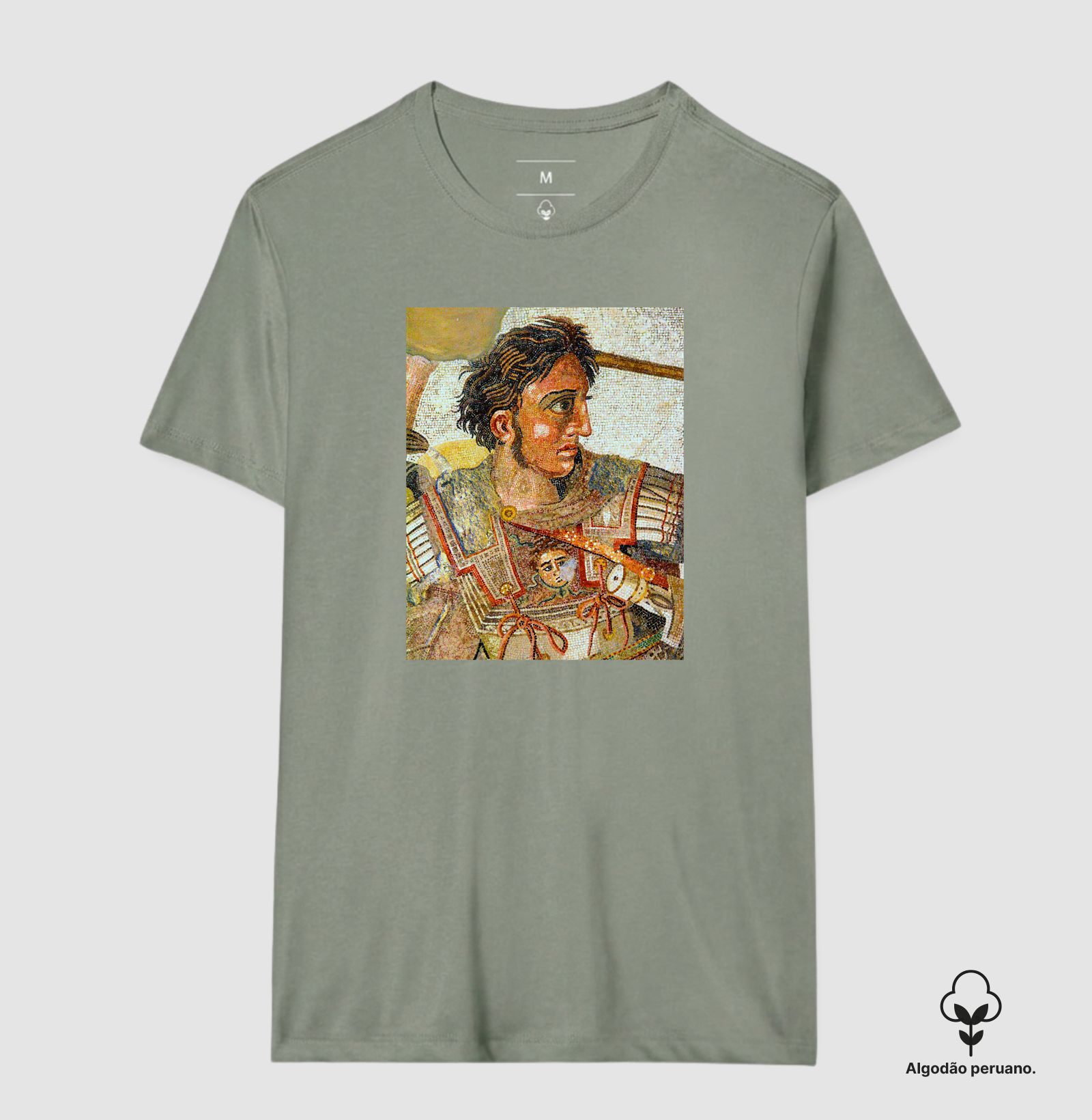 Alexandre, o Grande — Mosaico de Pompeia - Imagem 6
