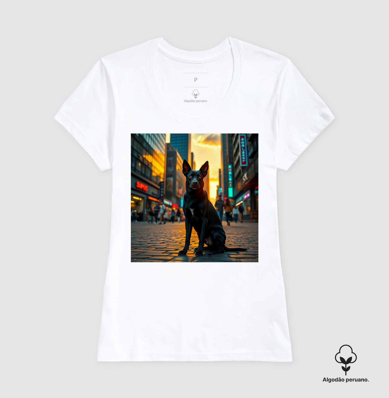 Camisa 6