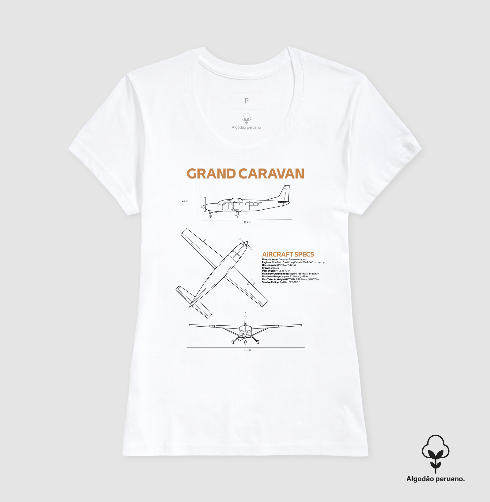 Grand Caravan | Blueprint - Imagem 7