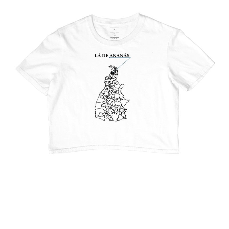 Ananás | Origem TO - Imagem 3