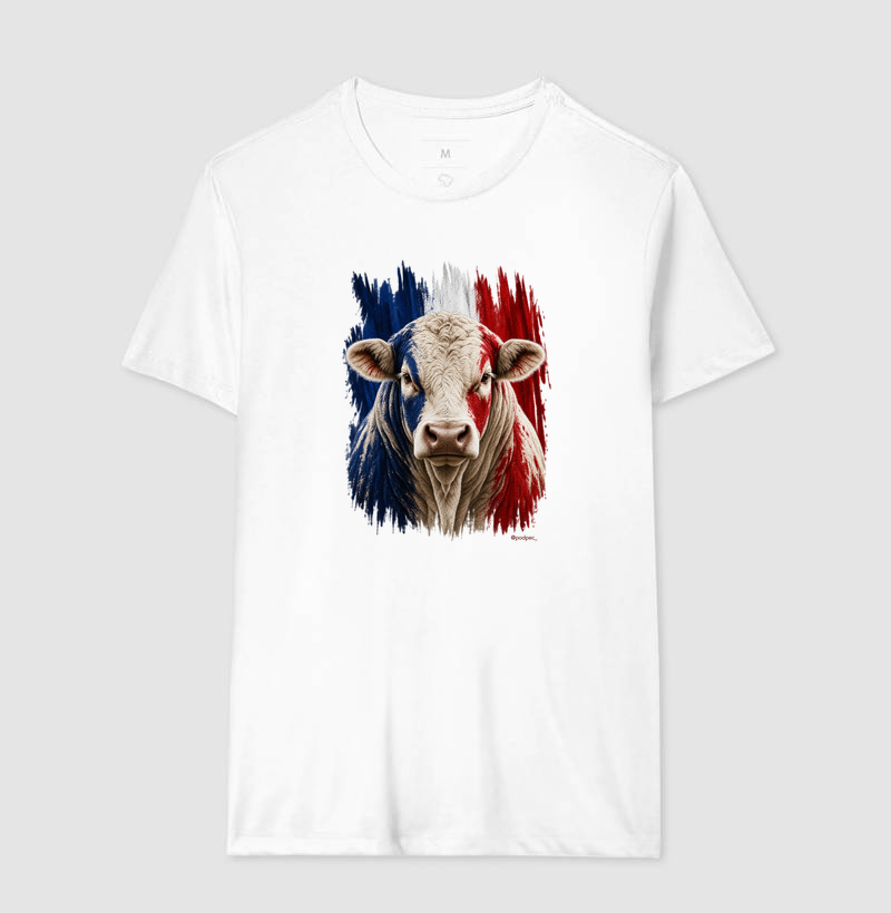 Charolês da França - Imagem 4