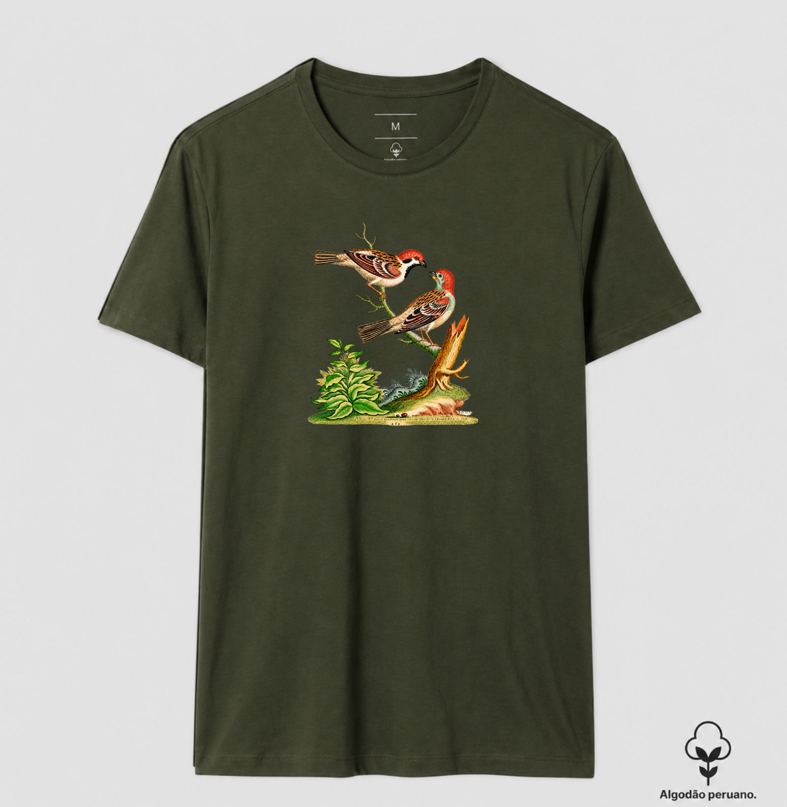 Camiseta Pássaros — História Natural do Século XVIII - Imagem 9