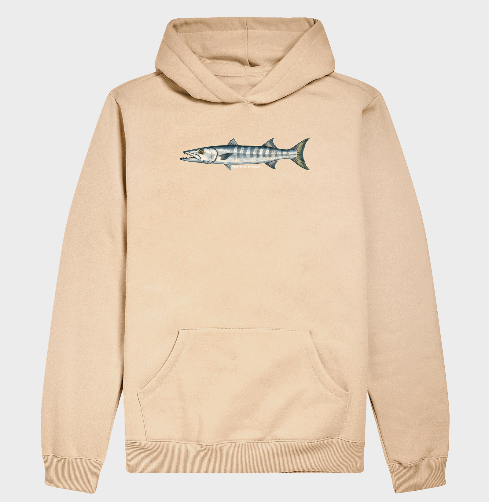 Barracuda - Imagem 5