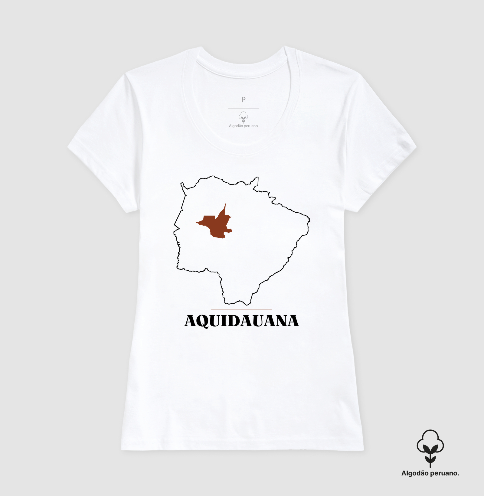 Aquidauana | Traço MS - Imagem 6