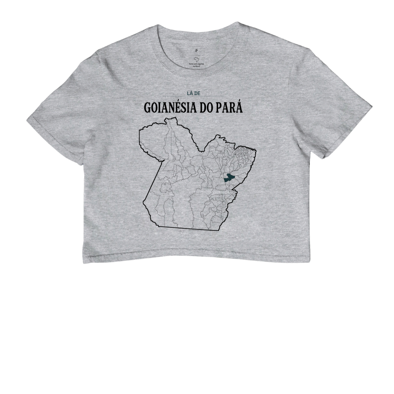 Goianésia do Pará | Território PA - Imagem 6