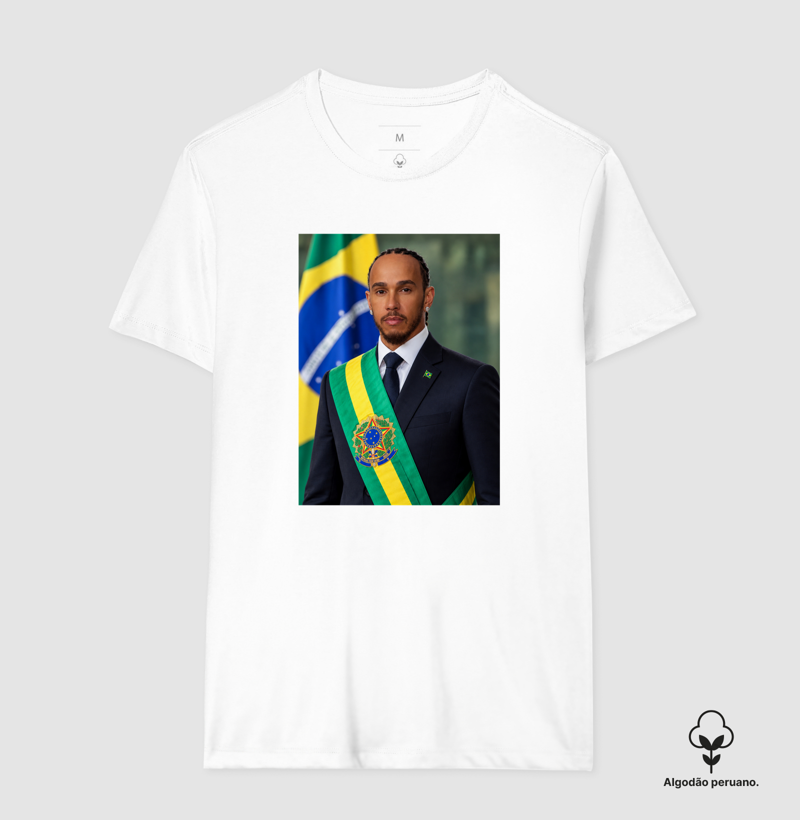 Hamilton Presidente - Imagem 9