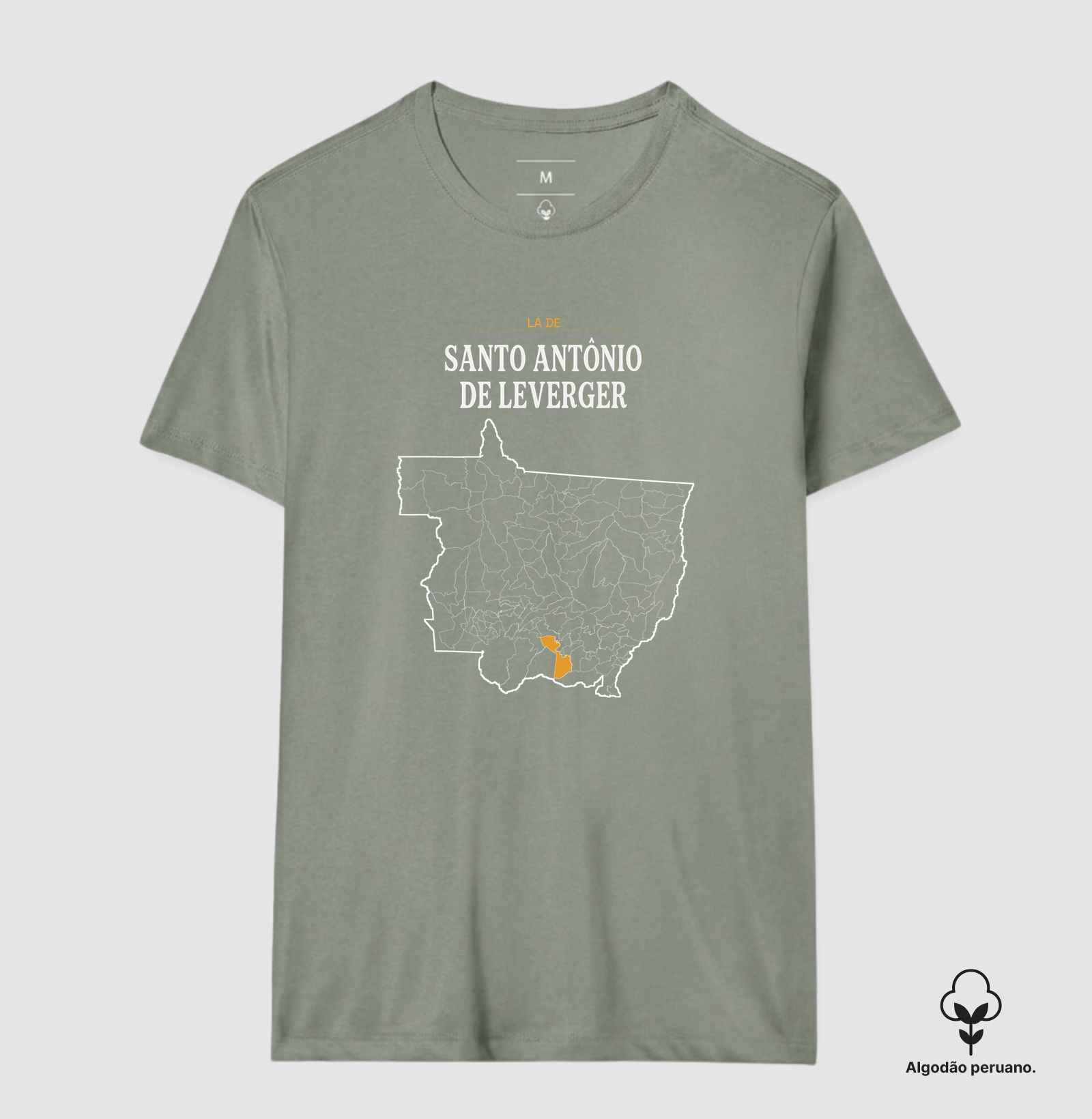 Santo Antônio de Leverger | Território MT - Imagem 2