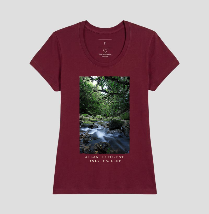 Atlantic Forest - Imagem 9