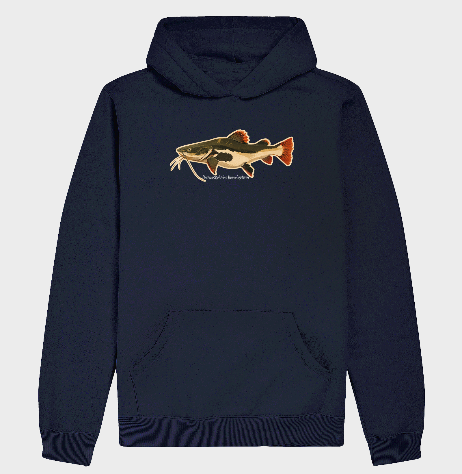 Pirarara 🐟 - Imagem 4