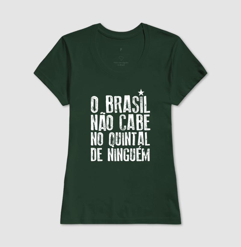 O Brasil não cabe no quintal de ninguém - Imagem 11