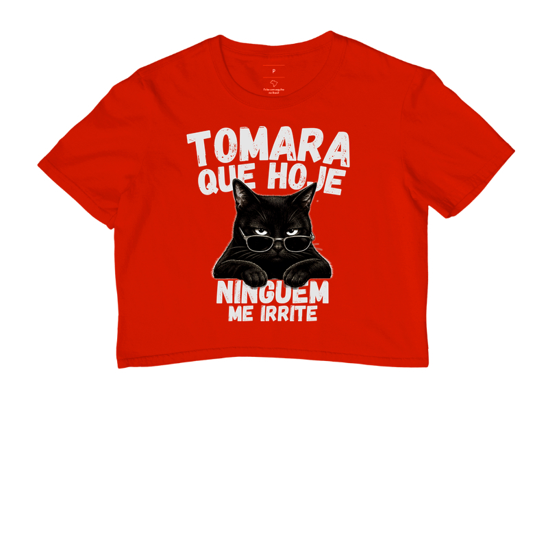 Tomara Que Hoje Ninguém Me Irrite - Imagem 7