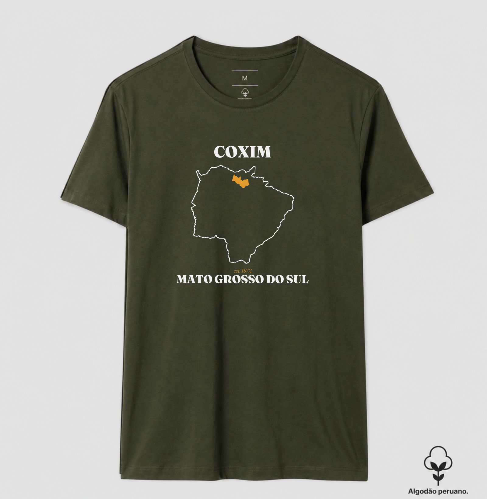 Coxim | Legado MS - Imagem 9