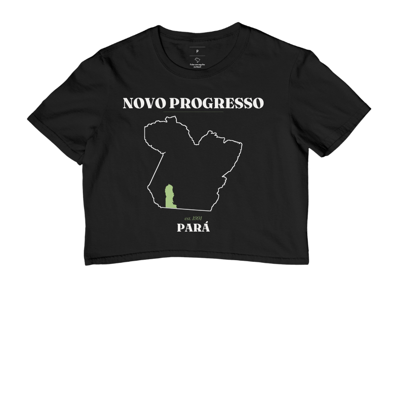 Novo Progresso | Legado PA - Imagem 2